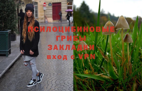 героин Алексин