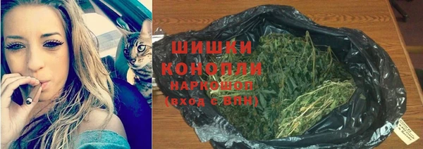 гидра Лабытнанги