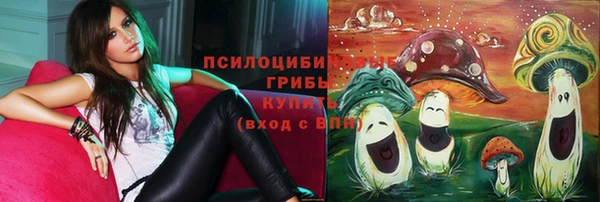 гидра Лабытнанги